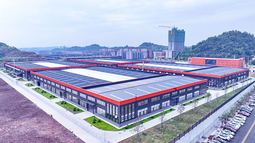 競逐運動賽道 安岳以鞋興業，跑出產業鏈發展新路徑